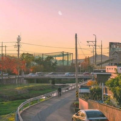 “跃动壳”无需外力即可定时起跳
