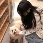 最强斗破无限元宝版下载